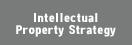 Intellectual property strategy