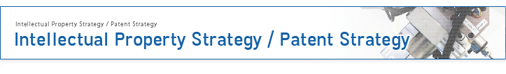 Intellectual Property Strategy / Patent Strategy