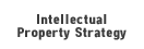 Intellectual property strategy